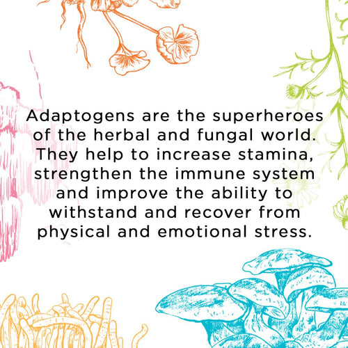 BOOK: Nature’s Apothecary